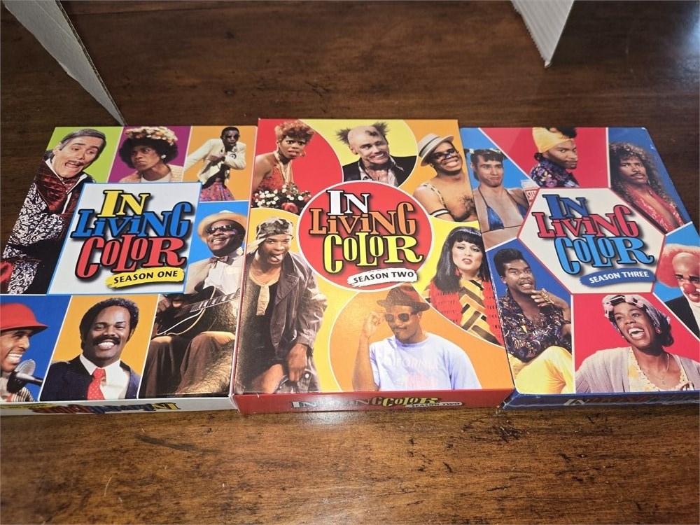 Great Finds Online Auctions - In Living Color DVD Set