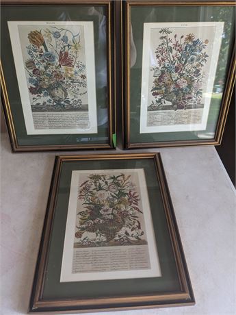 March, June & September Botanical Prints