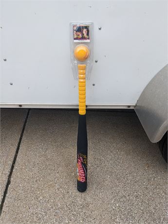 New Baseball Bat & Ball