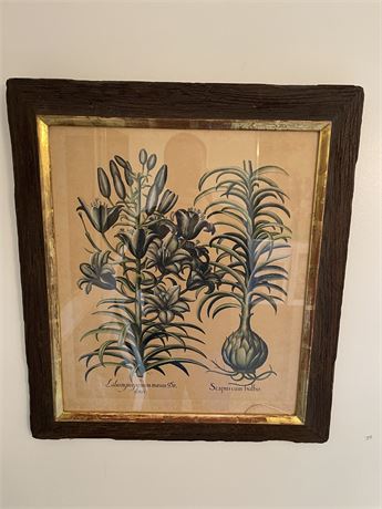 Antique Framed Botanical