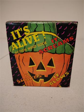 Great Finds Online Auctions - Halloween Pumpkin Action Windsock