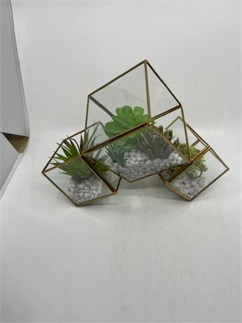 Glass and Brass Cube Terrariums