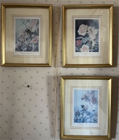 Framed Fairy Pictures-3