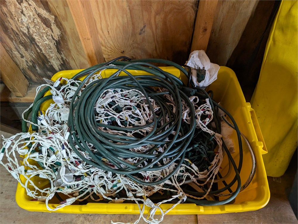 Great Finds Online Auctions - Bulk Outdoor Christmas Light Strings ...