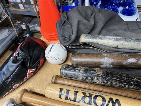 Great Finds Online Auctions - Softball Lot