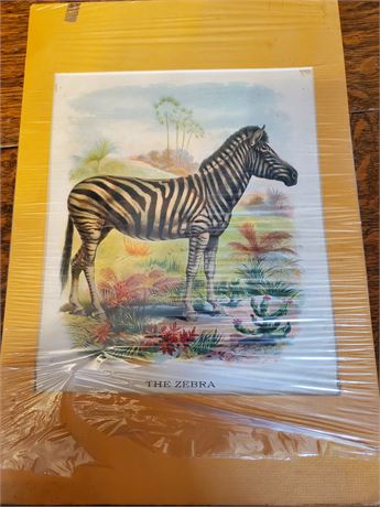 Vintage "The Zebra" Print